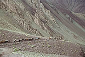 Ladakh - Hemis area famous for the trekking possibilities and for the Hemis Gompa.